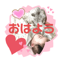 [LINEスタンプ] きおる広場