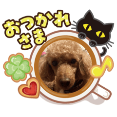 [LINEスタンプ] オーランド！