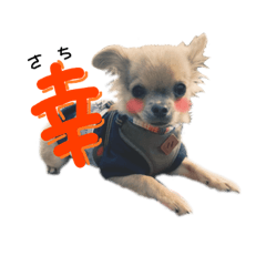 [LINEスタンプ] ロイくん①