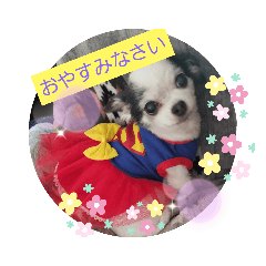 [LINEスタンプ] モコと私