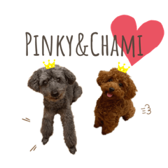 [LINEスタンプ] Pinky＆Chami♡