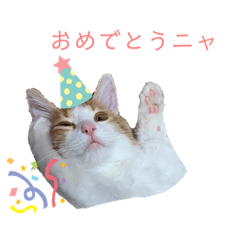 [LINEスタンプ] ねこのこむぎ〜日常編〜