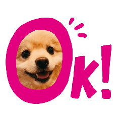 [LINEスタンプ] ラッキーくん1