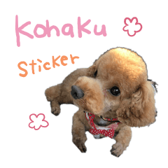 [LINEスタンプ] 琥珀すたんぷ
