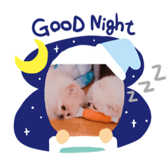 [LINEスタンプ] レン＆ここち 2020