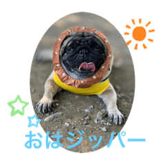 [LINEスタンプ] パグのジッパー