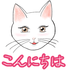 [LINEスタンプ] バッチリメイクの女子猫ライフ