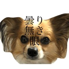 [LINEスタンプ] LANILANI