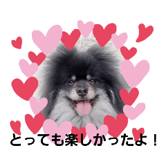 [LINEスタンプ] みんな大好きっ