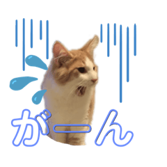 [LINEスタンプ] レオくんだよ！