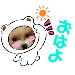[LINEスタンプ] パピたんスタンプ♡
