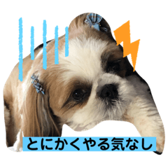 [LINEスタンプ] みんなのカイくん8