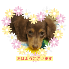 [LINEスタンプ] レレイちゃん
