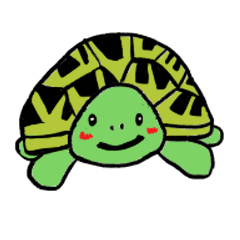 [LINEスタンプ] カメまみれ