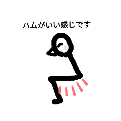 [LINEスタンプ] カラダにイイコト習慣