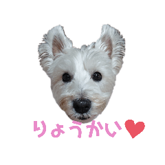 [LINEスタンプ] ウェスティ♡ちょこっと関西弁ナラちゃん