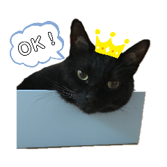 [LINEスタンプ] 黒猫のむうた3