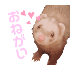 [LINEスタンプ] れったくん2