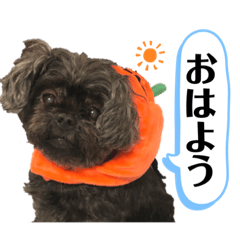 [LINEスタンプ] ららちゃんだけスタンプ
