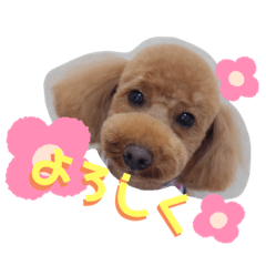 [LINEスタンプ] ちびちびゆずちゃん