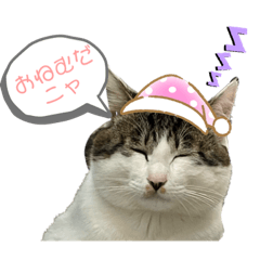 [LINEスタンプ] しん りん しゅう ショコ
