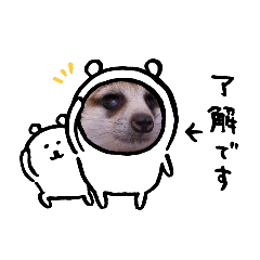 [LINEスタンプ] ミーヤキャット・ぷるぷるさん日常用語