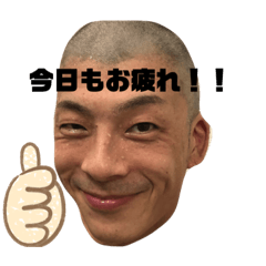 [LINEスタンプ] ヒクスの仲間たち♡
