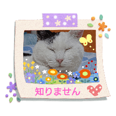 [LINEスタンプ] 武居familiar5
