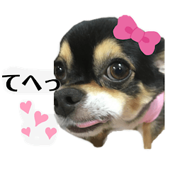 [LINEスタンプ] ふらちゃんスタンプー