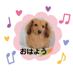 [LINEスタンプ] シオンとアフロスタンプ