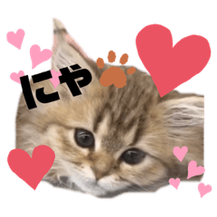 [LINEスタンプ] あやかたんのからあげ