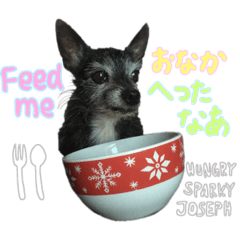 [LINEスタンプ] スパーキージョー