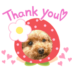 [LINEスタンプ] 愉快なわんちゃんず