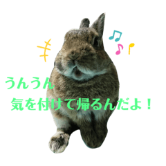 [LINEスタンプ] ぼくはココアくんです。②