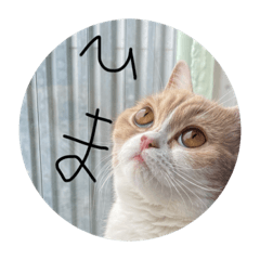 [LINEスタンプ] あい あむ は〜ちん2