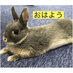 [LINEスタンプ] チョミナガ