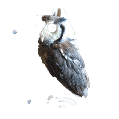 [LINEスタンプ] 大好きなフクロウスタンプ