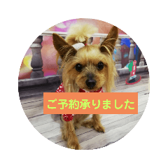 [LINEスタンプ] トリミング挨拶