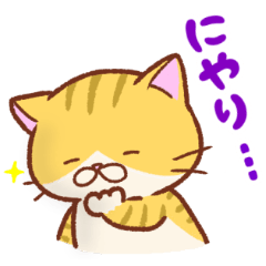 [LINEスタンプ] もっちり可愛い！ねこスタンプ