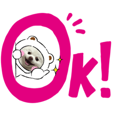 [LINEスタンプ] ポメコロちゃん 4