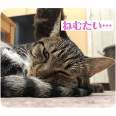 [LINEスタンプ] いとさんスタンプpart1