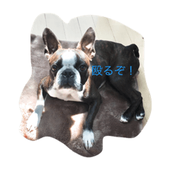 [LINEスタンプ] はる大集合！