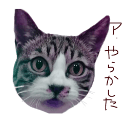 [LINEスタンプ] さとりちゃんすたんぷ