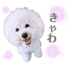 [LINEスタンプ] うにーにpart2