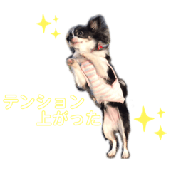 [LINEスタンプ] こはる＆とうま