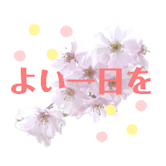 [LINEスタンプ] 花と敬語