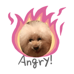 [LINEスタンプ] ガウガウ犬のレオン君③