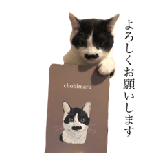[LINEスタンプ] 髭猫ちょびまる