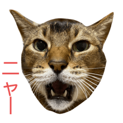 [LINEスタンプ] ゆーじろ その2