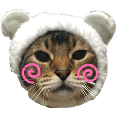 [LINEスタンプ] ゆーじろ